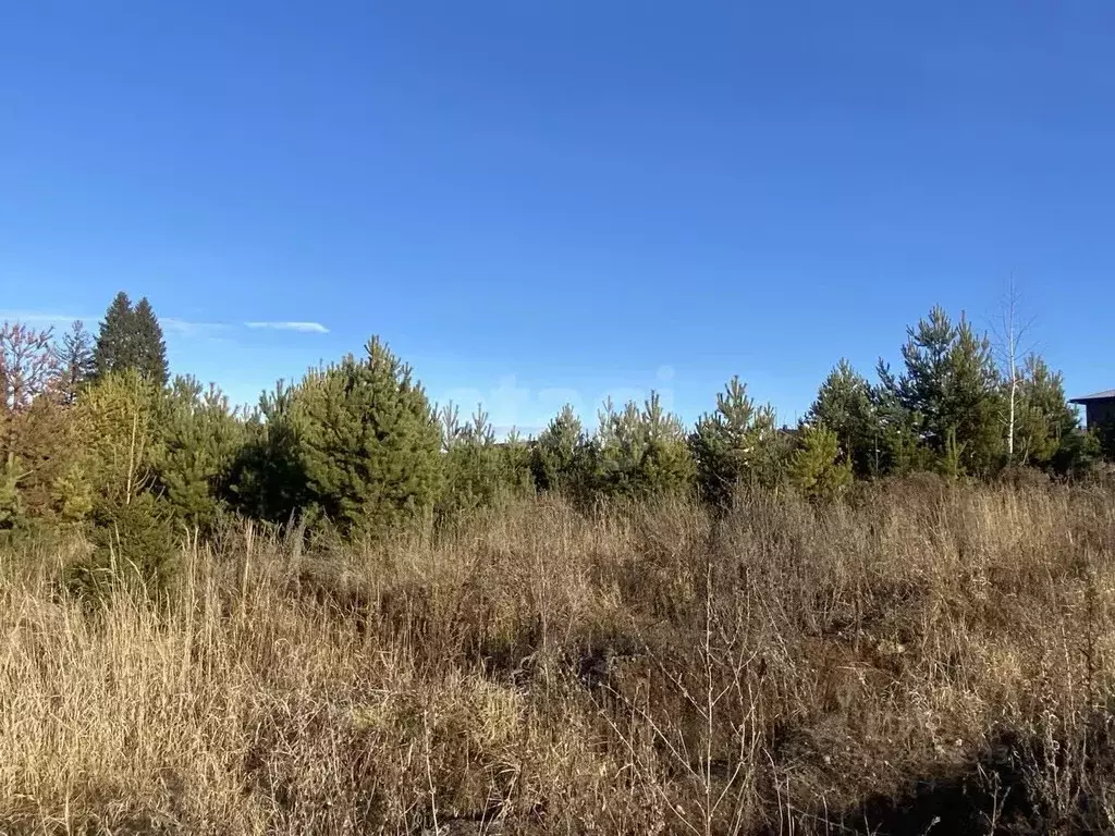 Участок в Удмуртия, с. Завьялово ул. Гравитационная, 5 (10.8 сот.) - Фото 1