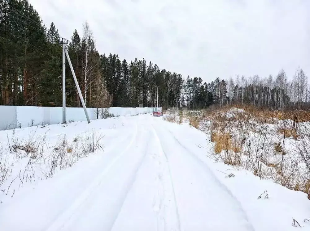 Участок в Тюменская область, Нижнетавдинский район, д. Штакульская ... - Фото 1