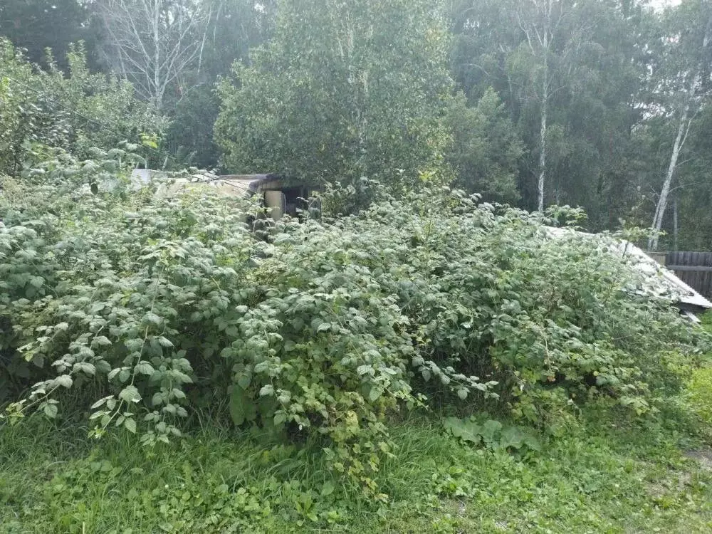 Дом в Иркутская область, Иркутский муниципальный округ, Зеленое СНТ ... - Фото 1