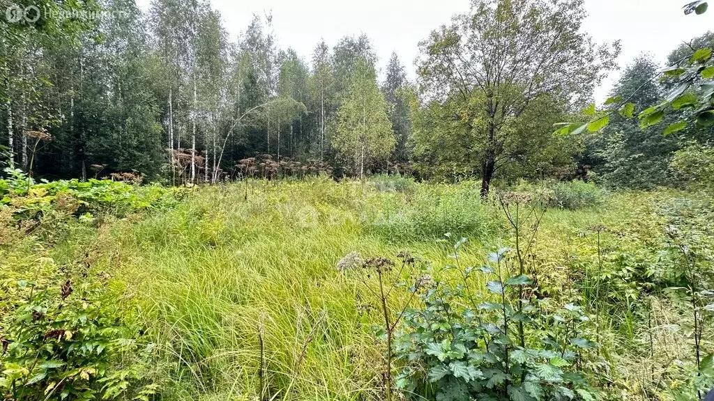 Участок в Московская область, городской округ Щёлково, дачное ... - Фото 0