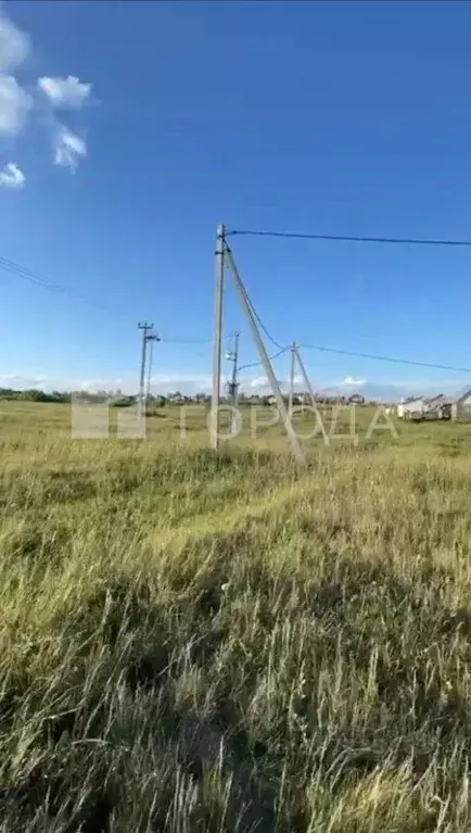 Участок в Алтайский край, Калманский район, с. Новороманово ул. ... - Фото 0