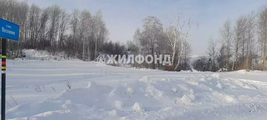 Участок в Кемеровская область, Кемеровский район, с. Березово Весенняя ... - Фото 1