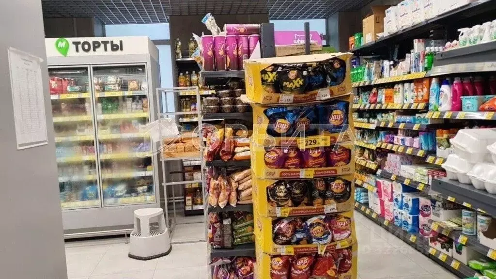 Торговая площадь в Тюменская область, Ялуторовск ул. Свободы, 228 (227 ... - Фото 2