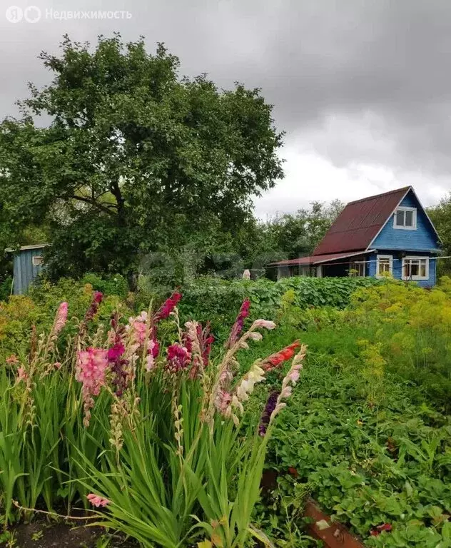 Дом в Вологда, садоводческое товарищество Парус, 3-я улица (35 м) - Фото 0