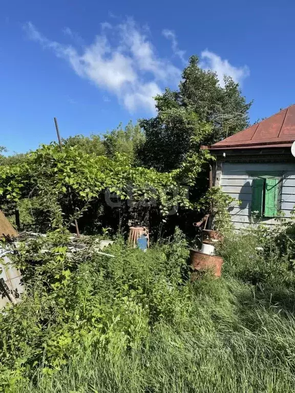 Дом в Белгородская область, Алексеевский муниципальный округ, ... - Фото 1