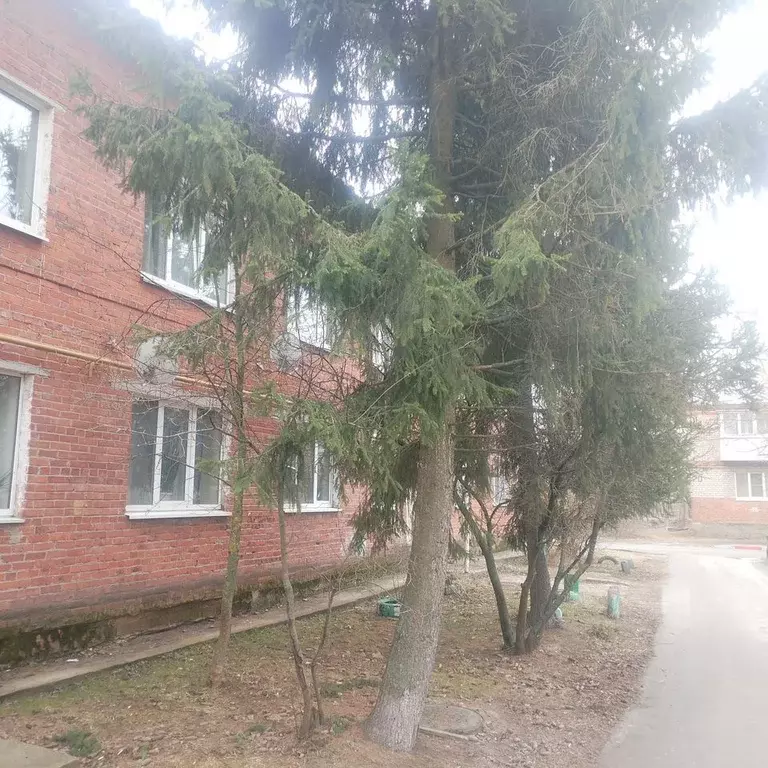 2-к кв. Московская область, Егорьевск муниципальный округ, с. Саввино, ... - Фото 2