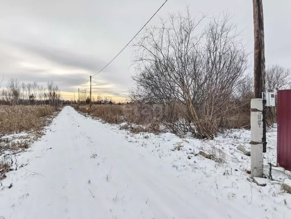 Участок в Тюменская область, Нижнетавдинский муниципальный округ, ... - Фото 1