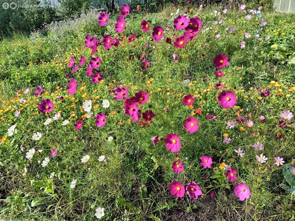 Участок в Уфа, СНТ Уршак, 264 (8 м) - Фото 1