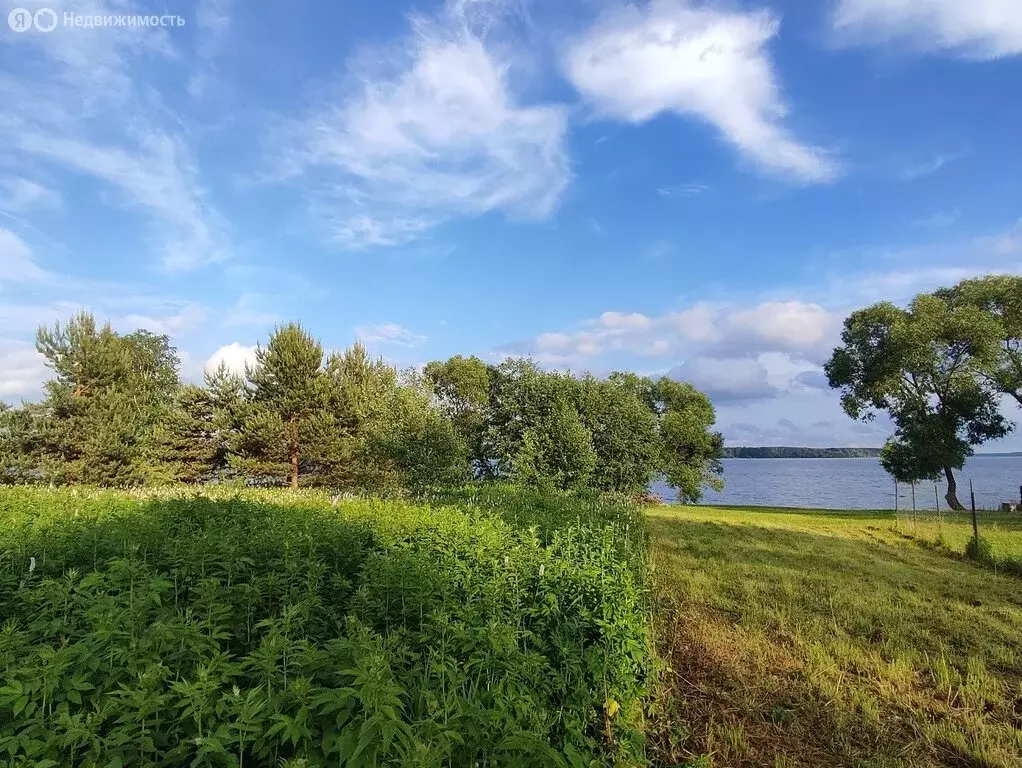 Участок в Кашинский городской округ, деревня Перетрясово (34 м) - Фото 0