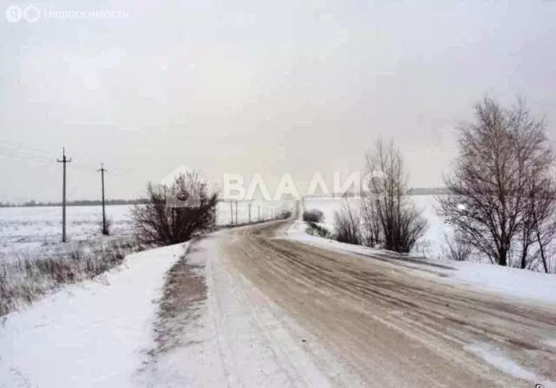 Участок в Красноармейский район, посёлок Лазурный (47 м) - Фото 1