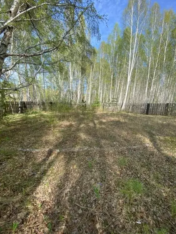 Участок в Иркутская область, Иркутский муниципальный округ, с. Мамоны ... - Фото 0