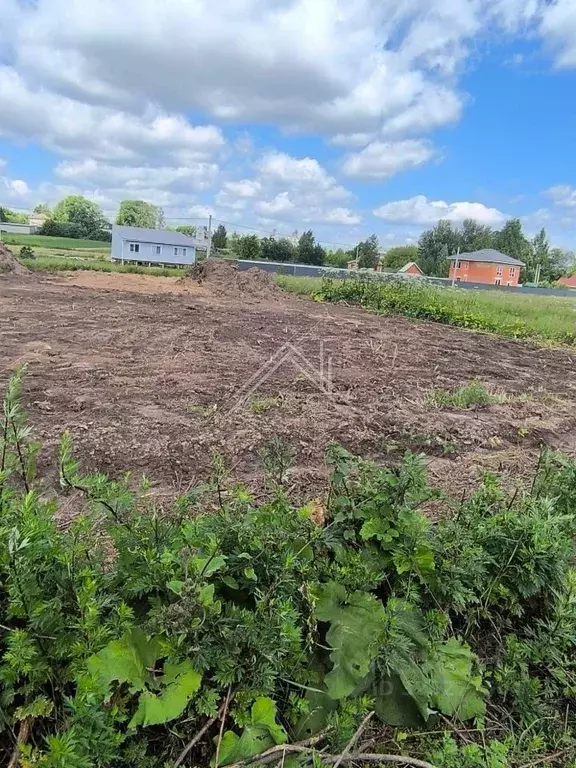 Участок в Ярославская область, Некоузский муниципальный округ, д. ... - Фото 2