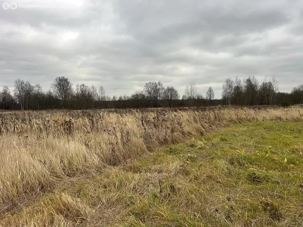 Участок в Владимирская область, Александровский муниципальный округ, ... - Фото 1