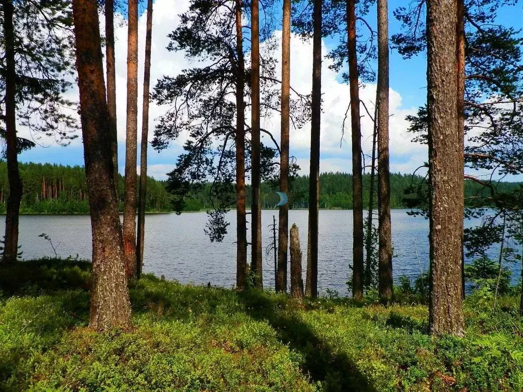 Участок в Башкортостан, Иглинский сельсовет, д. Ягодная ул. Некрасова, ... - Фото 0