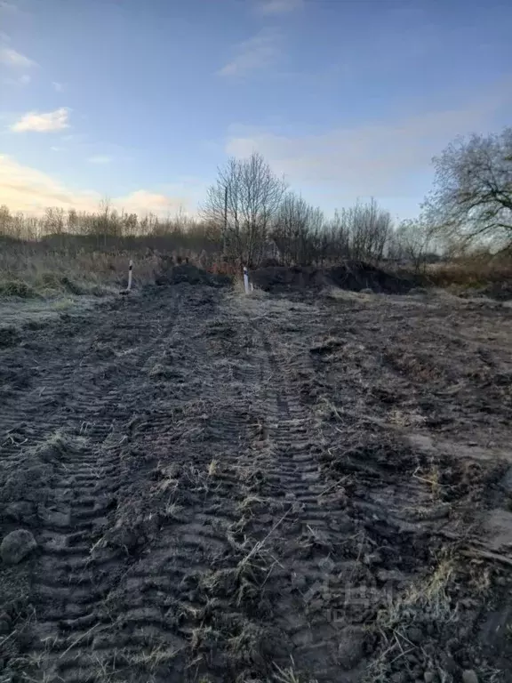 Участок в Калининградская область, Зеленоградский муниципальный округ, ... - Фото 2