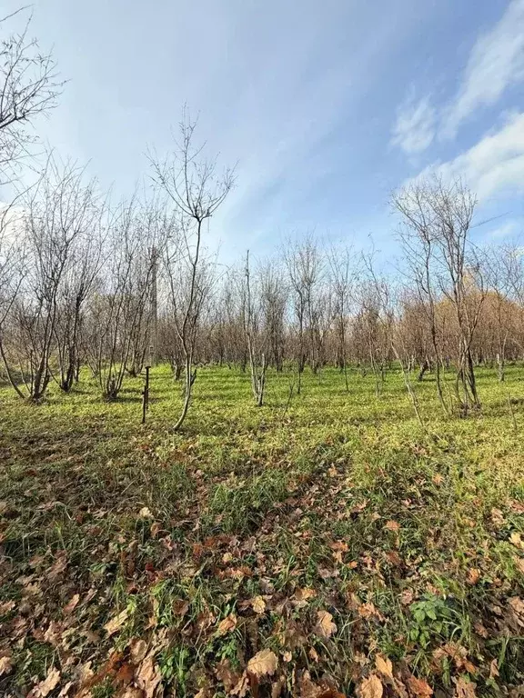 Участок в Ярославская область, Переславль-Залесский муниципальный ... - Фото 2
