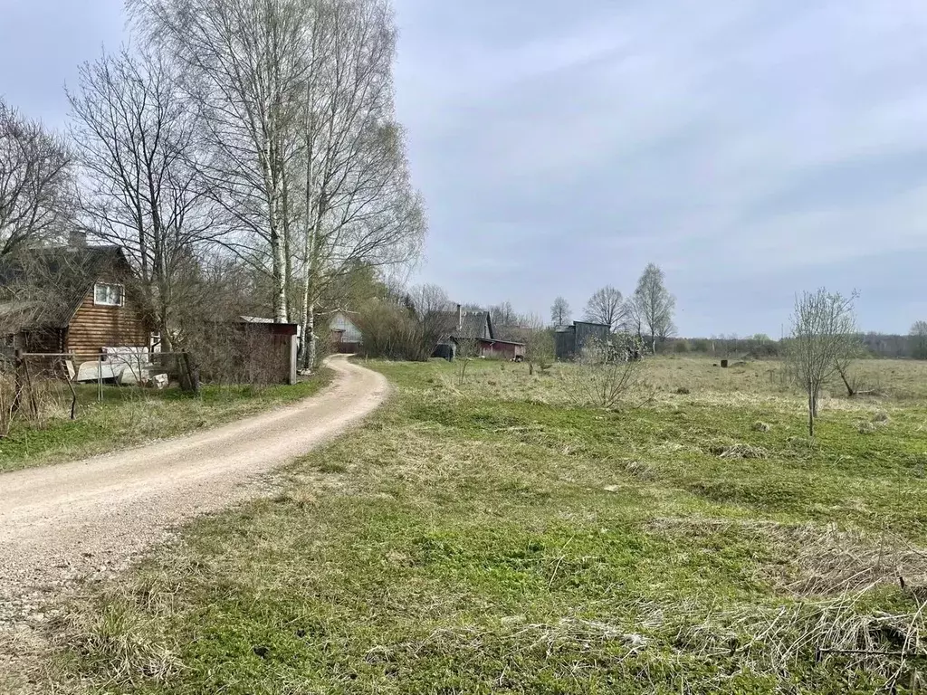 Дом в Ленинградская область, Кингисеппский район, Большелуцкое с/пос, ... - Фото 0