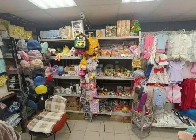 Торговая площадь в Башкортостан, Уфа ул. Чудинова, 14 (18 м) - Фото 2