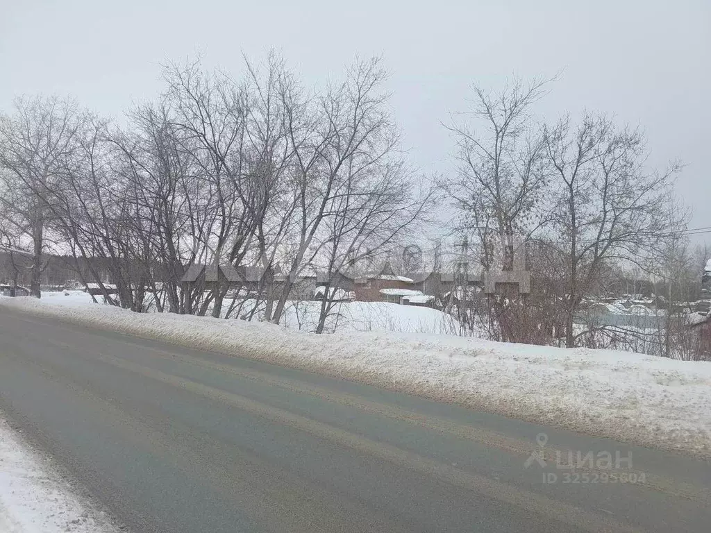 Участок в Новосибирская область, Новосибирск Буревестник садовое ... - Фото 2
