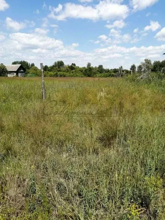 Участок в Белгородская область, Старооскольский городской округ, с. ... - Фото 0