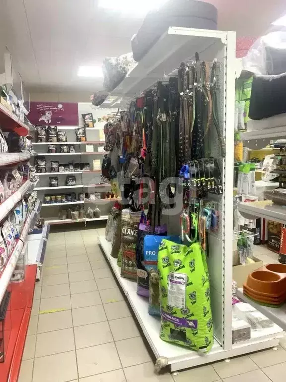 Торговая площадь в Калужская область, Козельск ул. Чкалова, 14 (100 м) - Фото 1