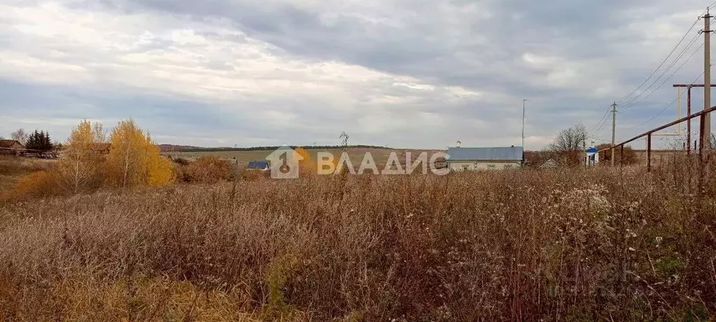 Участок в Татарстан, Высокогорский район, Березкинское с/пос, с. ... - Фото 2