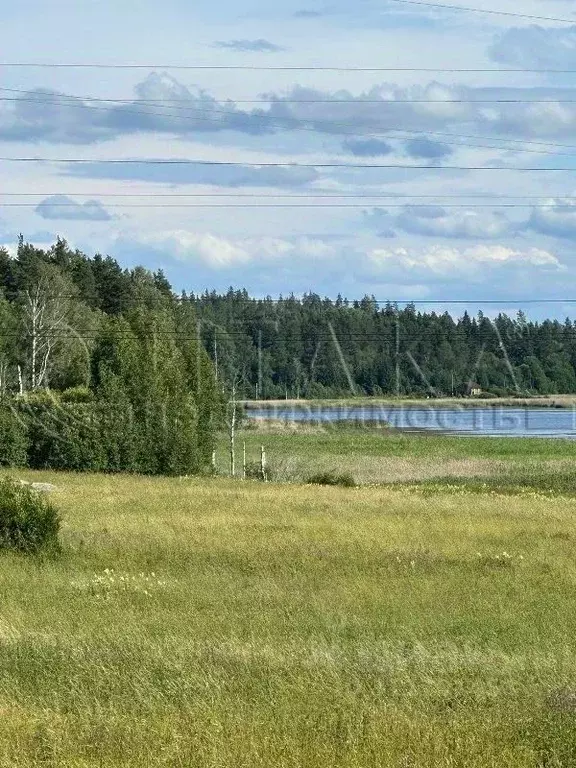 Участок в Ленинградская область, Выборгский район, Каменногорское ... - Фото 0