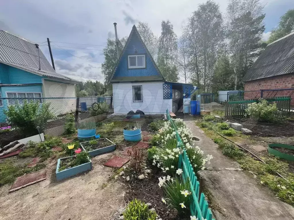 Дача 21,7 м на участке 5,3 сот. - Фото 0