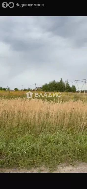 Участок в Заокский район, сельское поселение Демидовское, дачный ... - Фото 2