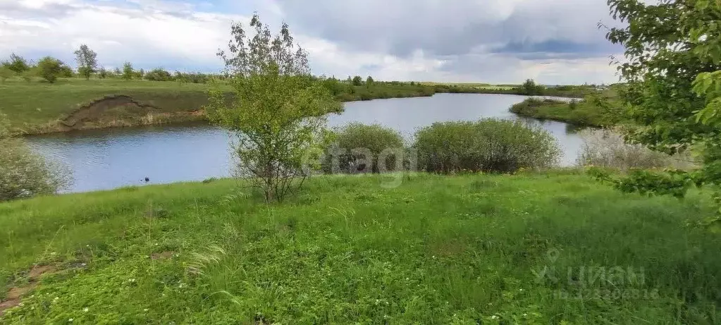 Участок в Воронежская область, Рамонский район, с. Русская Гвоздевка  ... - Фото 1