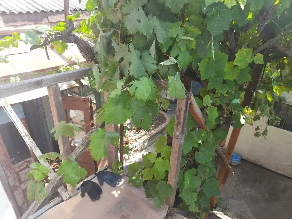 Дом в Севастополь, Стрелковая улица (107 м) - Фото 1