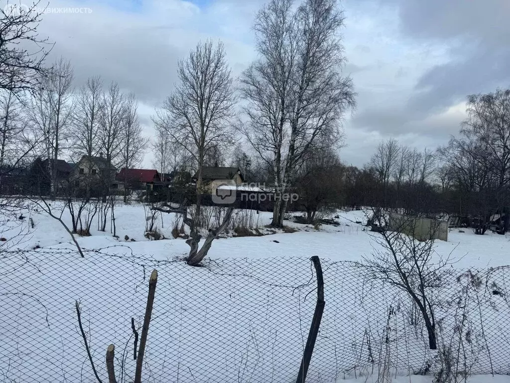 Участок в Красное Село, Семёновская улица, 8 (17 м) - Фото 2