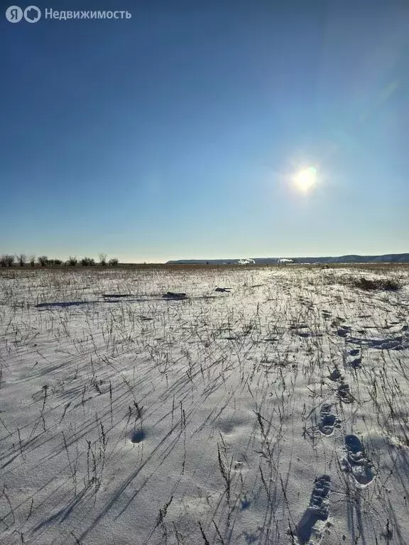 Участок в Республика Саха (Якутия), городской округ Якутск, село ... - Фото 2