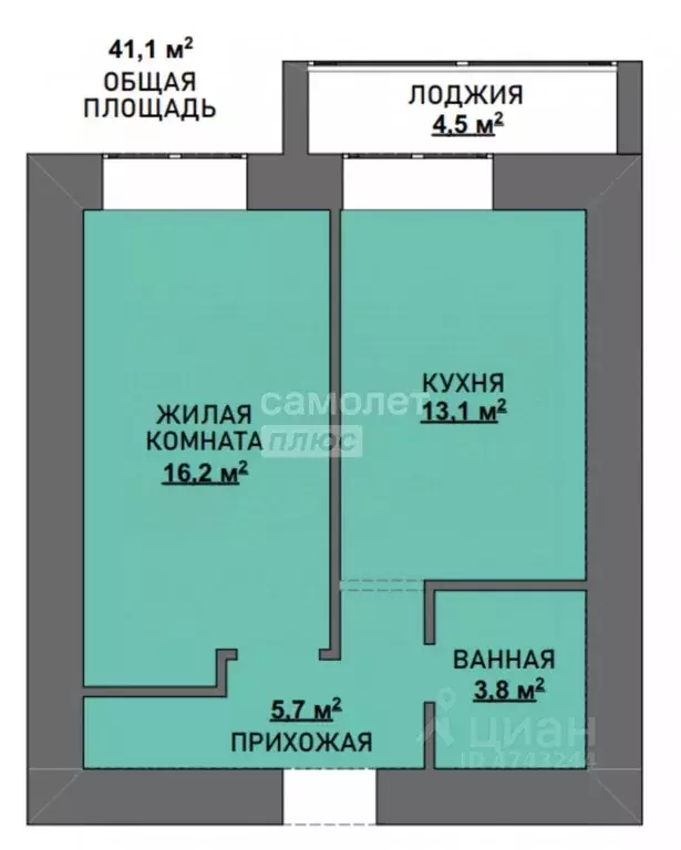 1-к кв. Амурская область, Благовещенский район, с. Чигири ул. ... - Фото 2