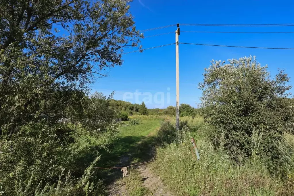 Участок в Хабаровский край, Хабаровск Каскад садовое товарищество,  ... - Фото 1