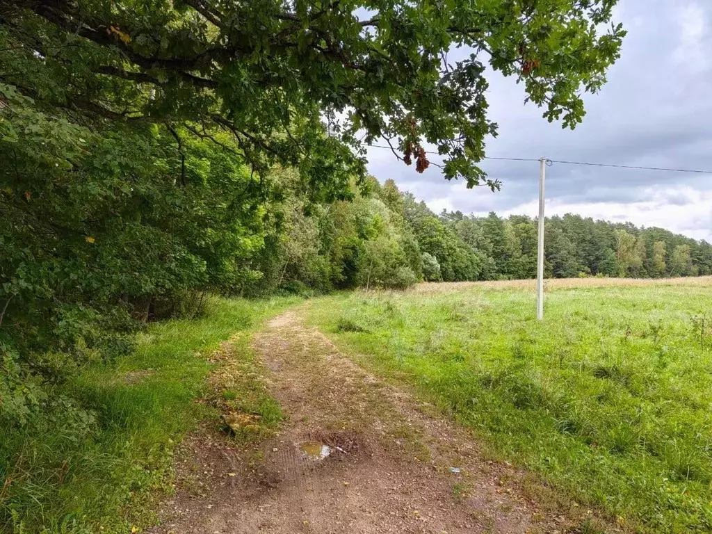 Участок в Московская область, Серпухов городской округ, д. Акулово  ... - Фото 2