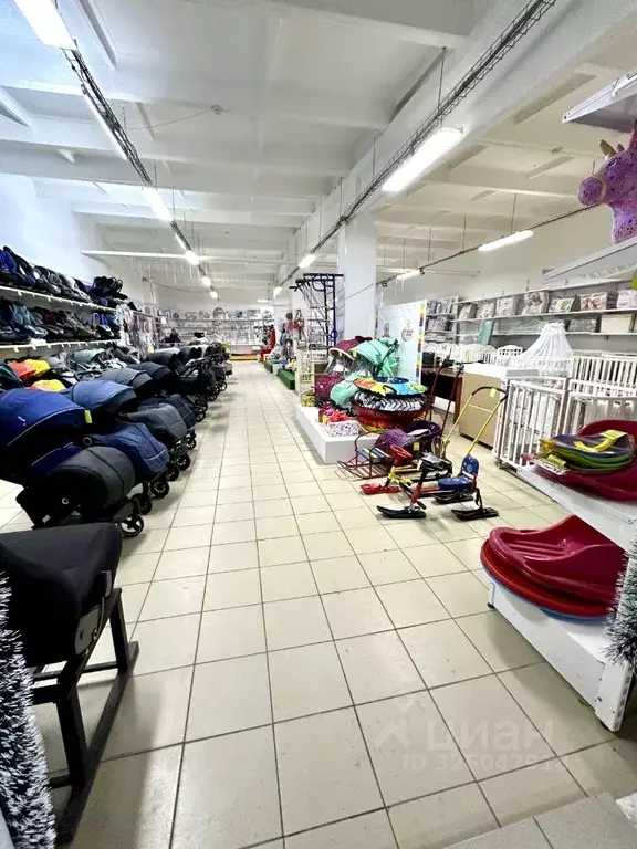 Помещение свободного назначения в Курганская область, Курган ул. ... - Фото 2