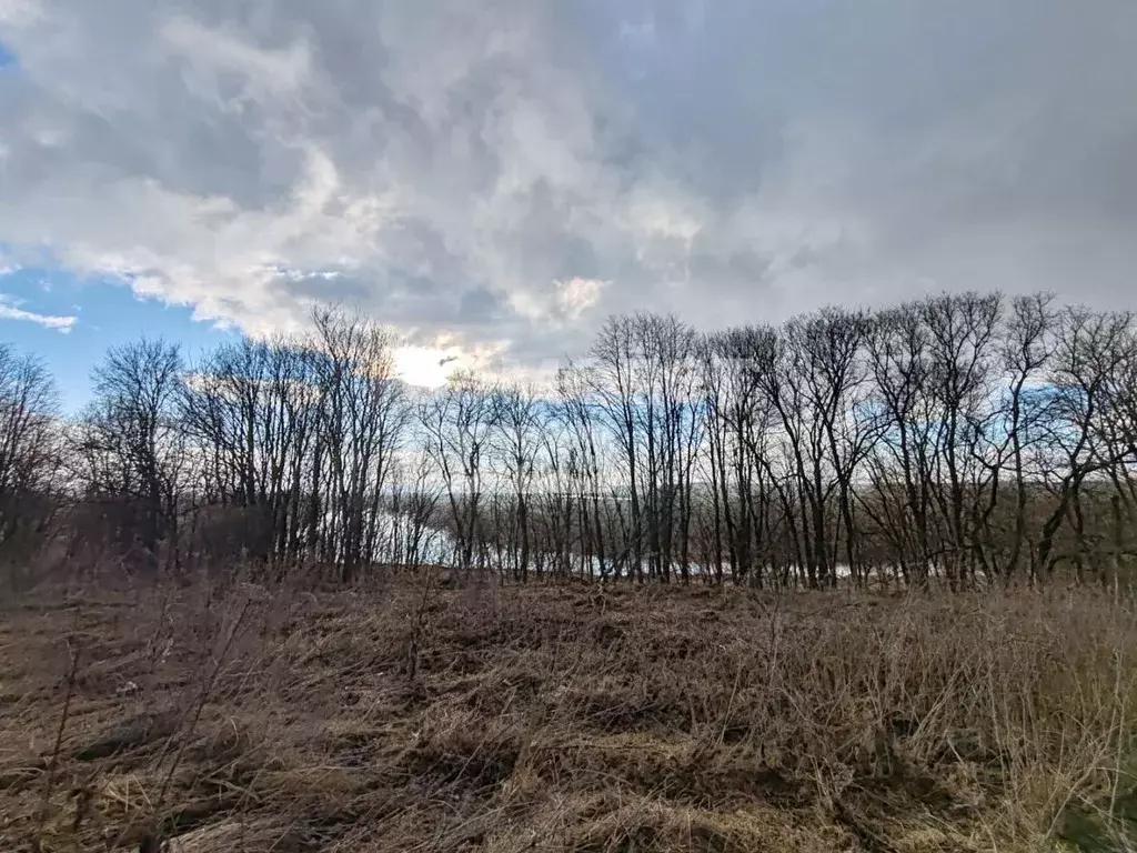 Участок в Калужская область, Калуга городской округ, д. Андреевское 19 ... - Фото 2