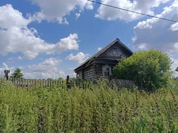 Участок в Татарстан, Зеленодольский район, Нижние Вязовые ... - Фото 1