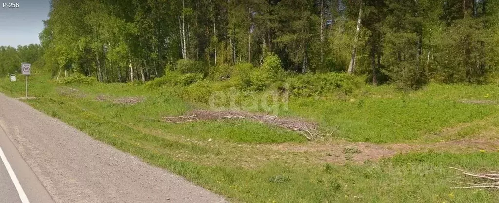 Участок в Алтай, Майминский район, Соузгинское с/пос, пос. Турбаза ... - Фото 1