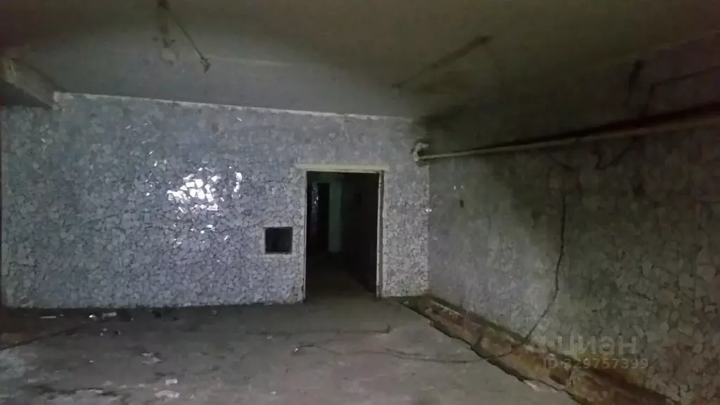 Помещение свободного назначения в Челябинская область, Челябинск ул. ... - Фото 1