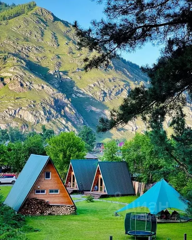 Дом в Алтай, Чемальский район, с. Анос Садовая ул., 26 (16 м) - Фото 0