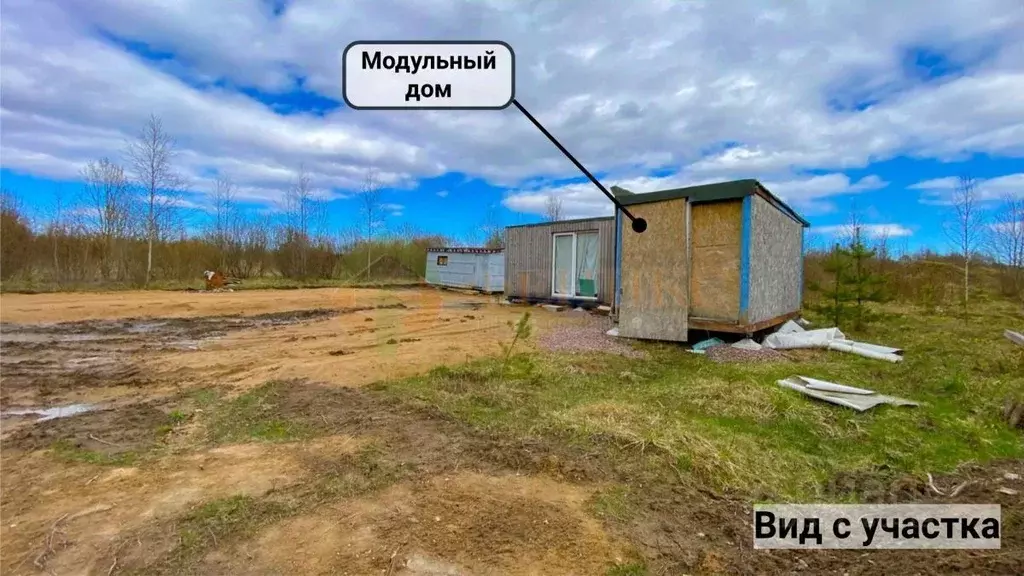 Участок в Ленинградская область, Всеволожский район, Агалатовское ... - Фото 0