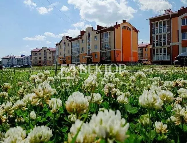 1-к. квартира, 34 м, 2/3 эт. - Фото 1