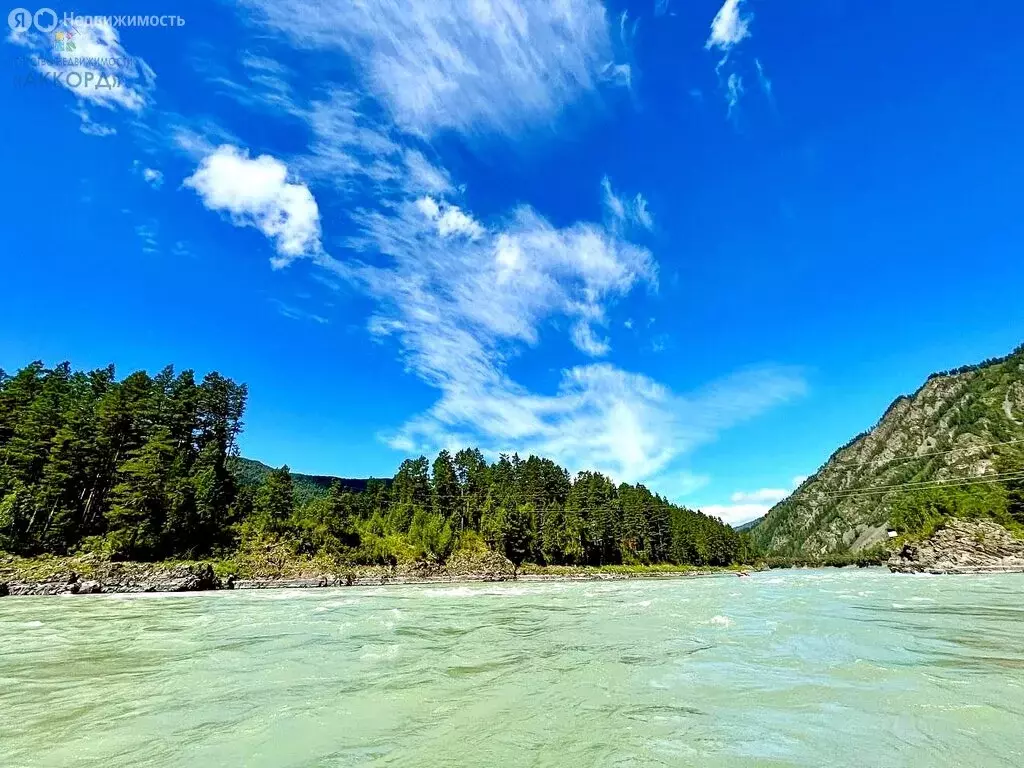 Участок в Алтайский район, особая экономическая зона ... - Фото 1