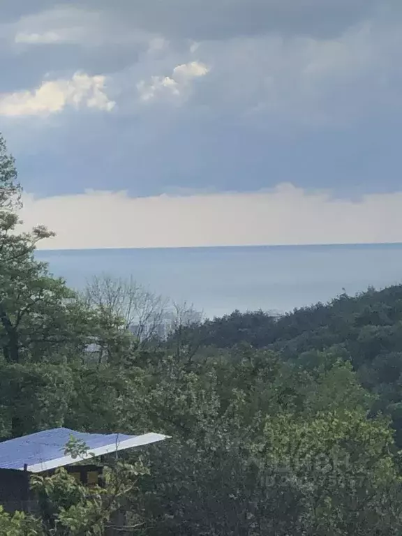 Участок в Краснодарский край, Сочи городской округ, с. Высокое, Искра ... - Фото 1