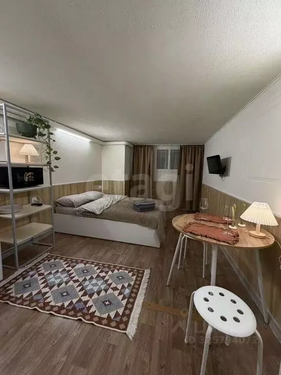 Студия Санкт-Петербург 2-я Васильевского острова линия, 3 (22.0 м) - Фото 1