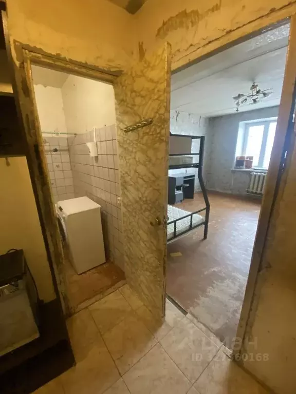 1-к кв. Московская область, Красноармейск Пушкинский городской округ, ... - Фото 0