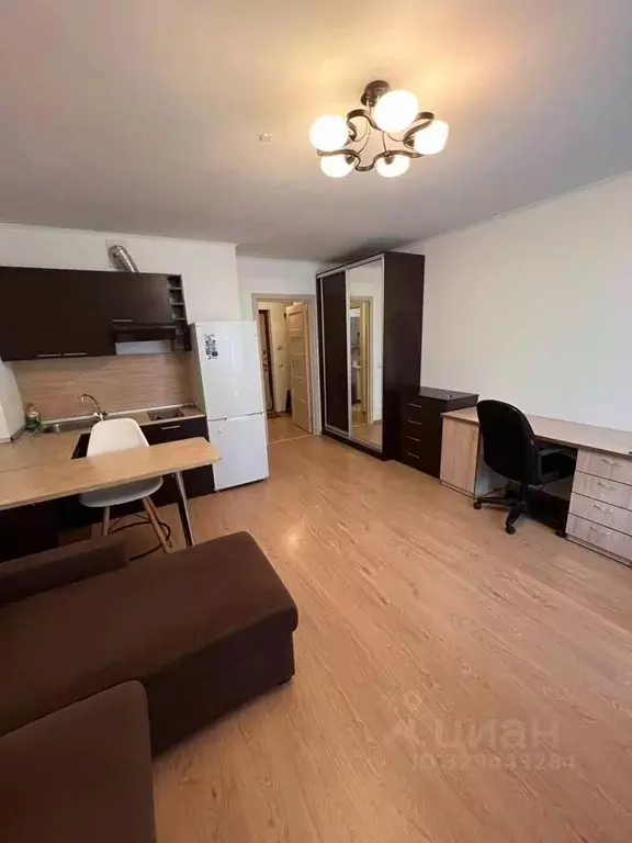 Студия Санкт-Петербург просп. Энергетиков, 11к2 (25.7 м) - Фото 1