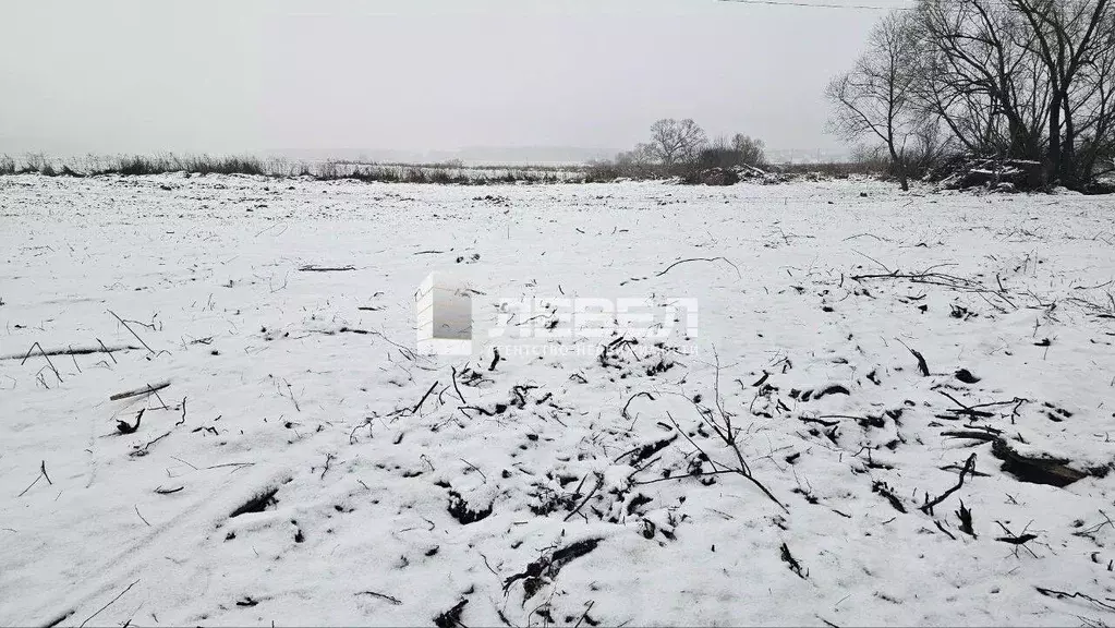Участок в Московская область, Домодедово городской округ, с. Лямцино ... - Фото 1